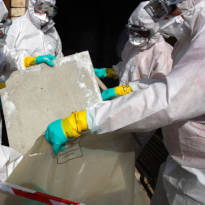 184 Healthcare: Asbestos Safety